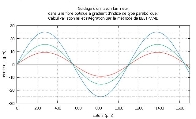 Chemins des rayons lumineux (suivant Beltrami)...